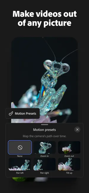 Motion presets sheet with None, Zoom in, Zoom out, Pan left, Pan right and Tilt up over a glass-like praying mantis