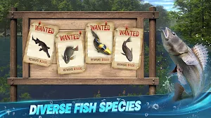 A wooden wanted board with four fish posters and cash rewards — Diverse fish species