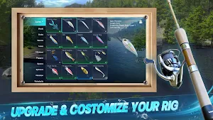 A lure grid beside a spinning reel and rod on a wooden panel — Upgrade & customize your rig