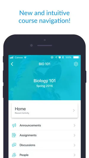 Course navigation listing announcements, assignments and discussions