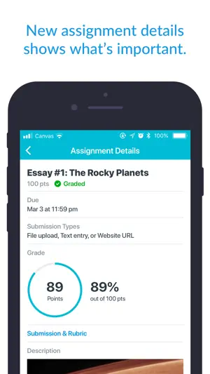 Assignment details showing 89 points out of 100 marked graded