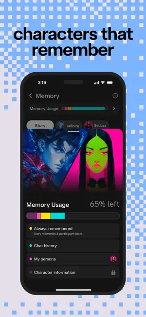 Memory Usage screen under the caption characters that remember, with a segmented bar marked 65% left and rows for Always remembered, Chat history, My persona and a locked Character information