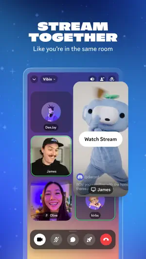 Voice room watching a shared stream with participants around it