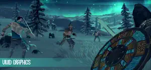 A Viking under the northern lights with a painted shield — Vivid Graphics
