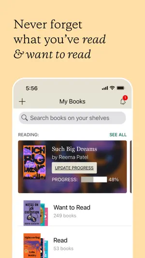 My Books screen with Such Big Dreams at 48% progress above Want to Read (249) and Read (53) shelves