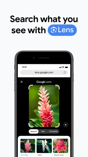 Google Lens identifying a red ginger flower with similar species below