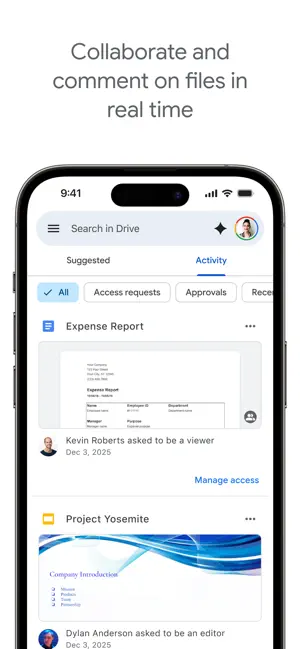 Activity tab listing access requests and approvals for shared files