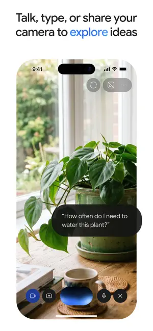 Live camera view answering a question about how often to water a plant