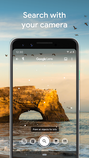 Google Lens camera view of a sea arch at sunset with a Point at objects for info hint and translate, text, search, shopping and dining filters