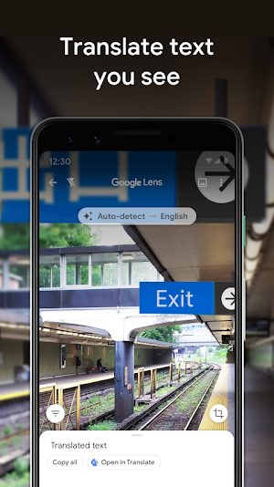 Station Exit sign translated in place with Auto-detect to English selected and Copy all and Open in Translate buttons