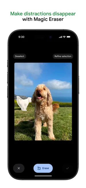 Magic Eraser selecting a distraction beside a dog before removing it
