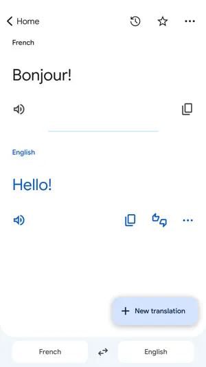 Text result showing French and English with listen and copy buttons