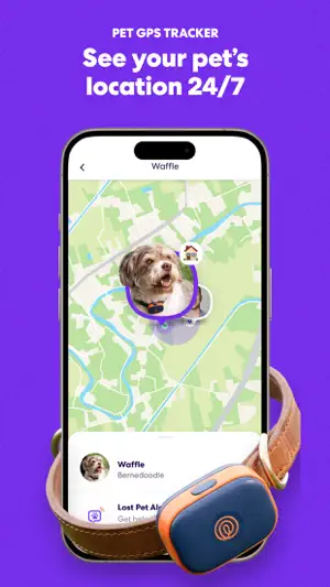 Pet tracker view locating a dog wearing a collar device