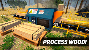 A saw station and processing line stacked with lumber, captioned process wood