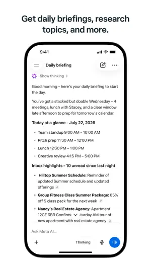 Daily briefing listing meetings and highlighted inbox messages
