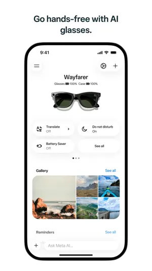Glasses tab showing frame and case battery with translation controls