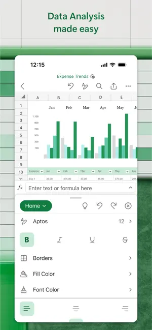 Expense trends chart above the ribbon with font and colour controls