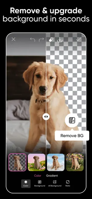 Remove BG split view of a golden retriever puppy, half on a bedroom background, half on transparent checkerboard