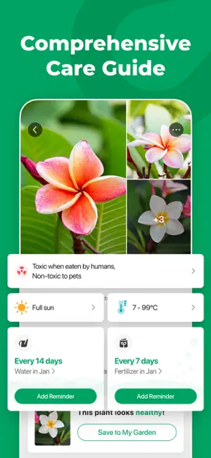 Frangipani care card marked toxic when eaten by humans and non-toxic to pets, with water every 14 days and Add Reminder buttons