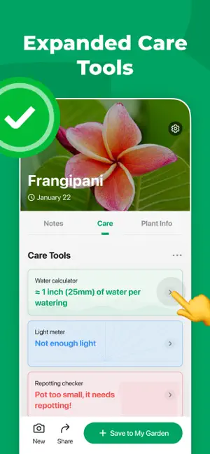 Frangipani Care Tools tab showing Water calculator, Light meter and Repotting checker results
