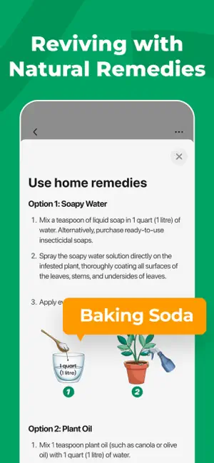 Use home remedies screen with Soapy Water and Plant Oil recipes and a Baking Soda label