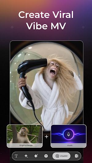 Vibe MV example combining a monkey photo and a music track into a fisheye clip of the monkey holding a hair dryer