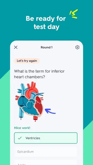 Quiz question about the inferior heart chambers over a heart diagram, with Ventricles ticked as the correct answer