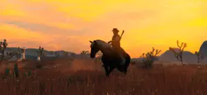 A rider silhouetted against an orange sunset on the plains