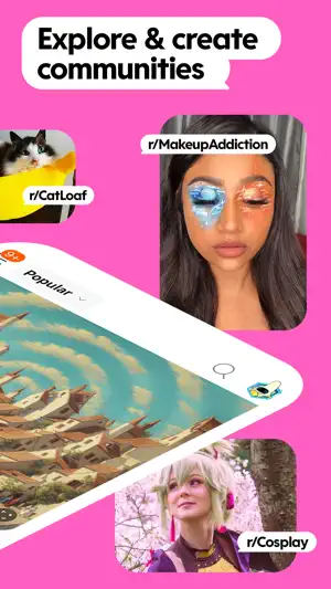 Communities shown as tiles for cat, makeup and cosplay subreddits