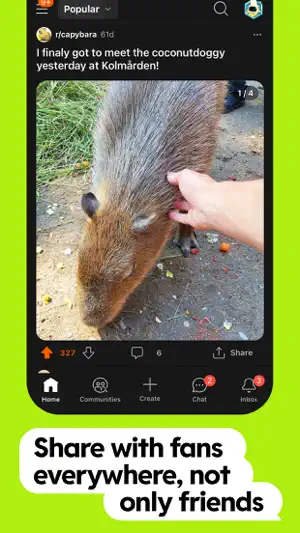 Feed post with the home, communities and inbox tabs below