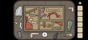 A wooden box of strange objects — bones, a feather, an eye — to sort