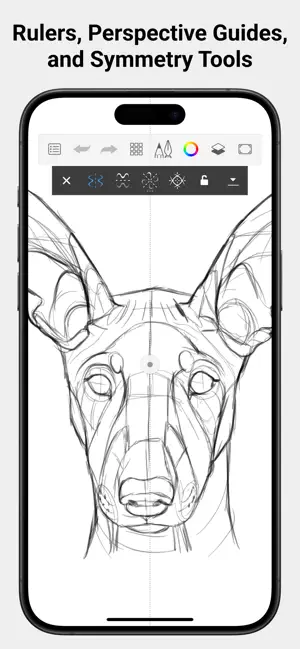 Pencil sketch of a dog's head split by a vertical mirror line under the symmetry toolbar, captioned Rulers, Perspective Guides, and Symmetry Tools