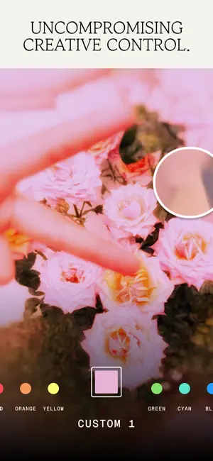 Pink roses with a loupe sampling a custom color above a hue row running from orange and yellow to green and cyan