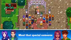 The Flower Dance in the spring clearing with villagers in pairs, captioned meet that special someone
