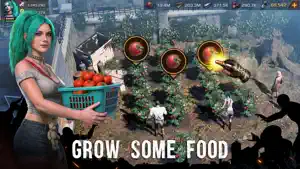 Survivor harvesting tomatoes from a farm plot