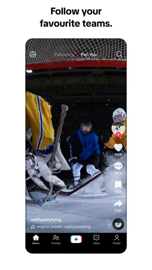 Ice-hockey clip from the account oddlysatisfying with the original sound credited