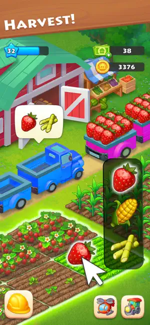 Harvesting strawberries beside loaded delivery trucks