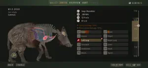 The wild boar anatomy screen showing organs and shot placement over the animal